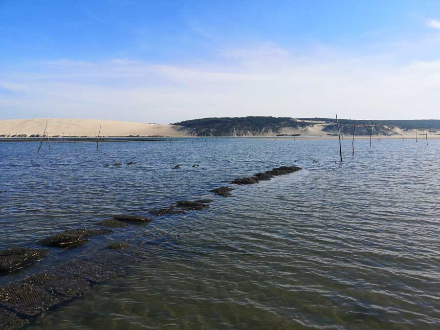 parc-à-huitre-face-dune-du-pilat